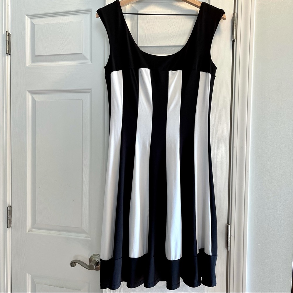 Swing Dress in Black and White Stripes from Connected Apparel Size 12